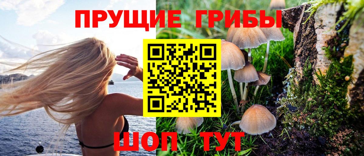 Галлюциногенные грибы Psilocybe Гусь-Хрустальный
