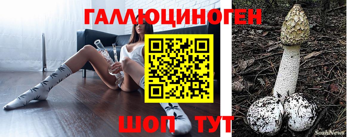 Псилоцибиновые грибы Psilocybine cubensis  Вход с VPN  Гусь-Хрустальный 